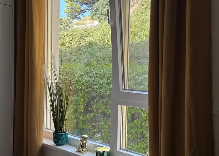 Appartamento Olijfboom